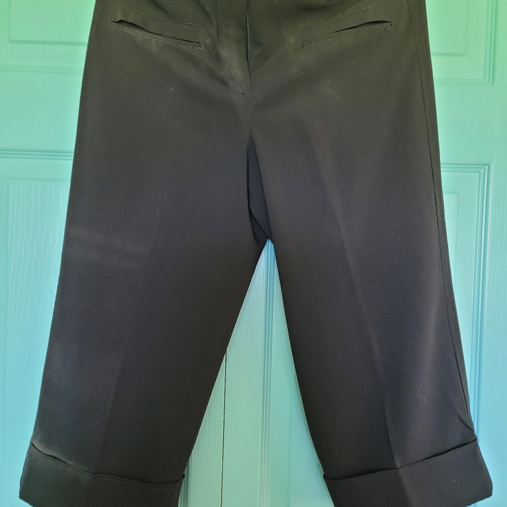 Capri dress pants